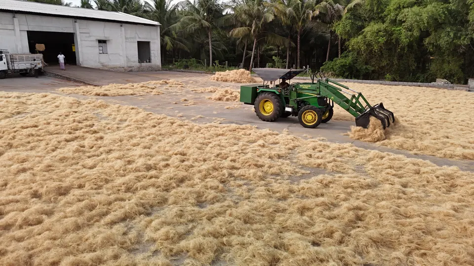 Turning coco peat on the yard