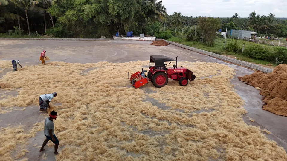 Spreading for sun-drying