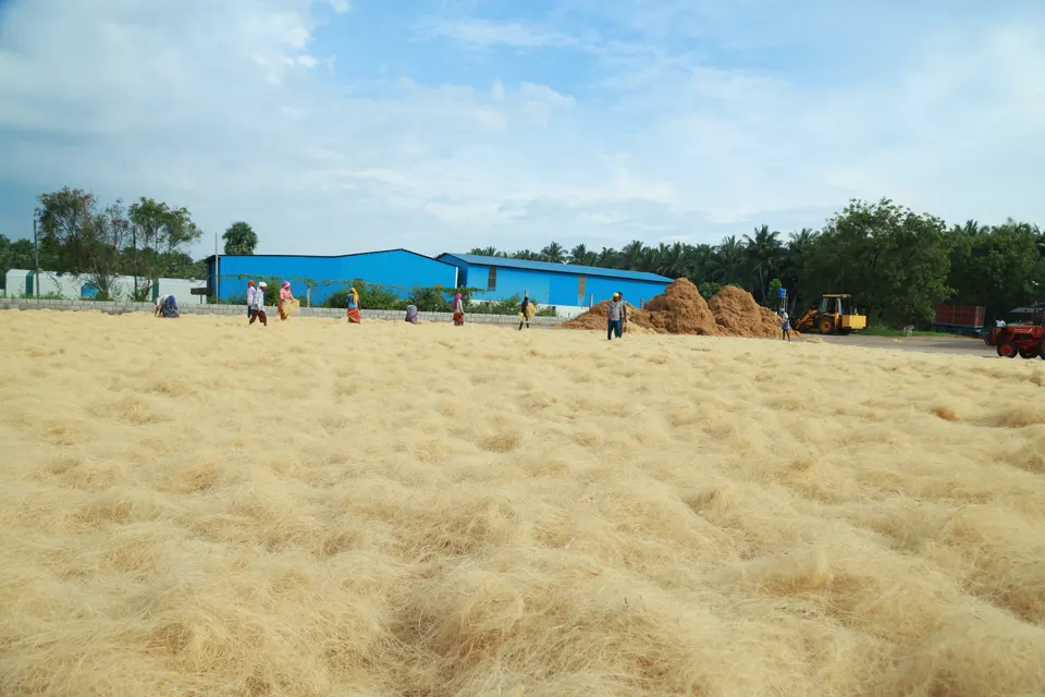 Drying yard