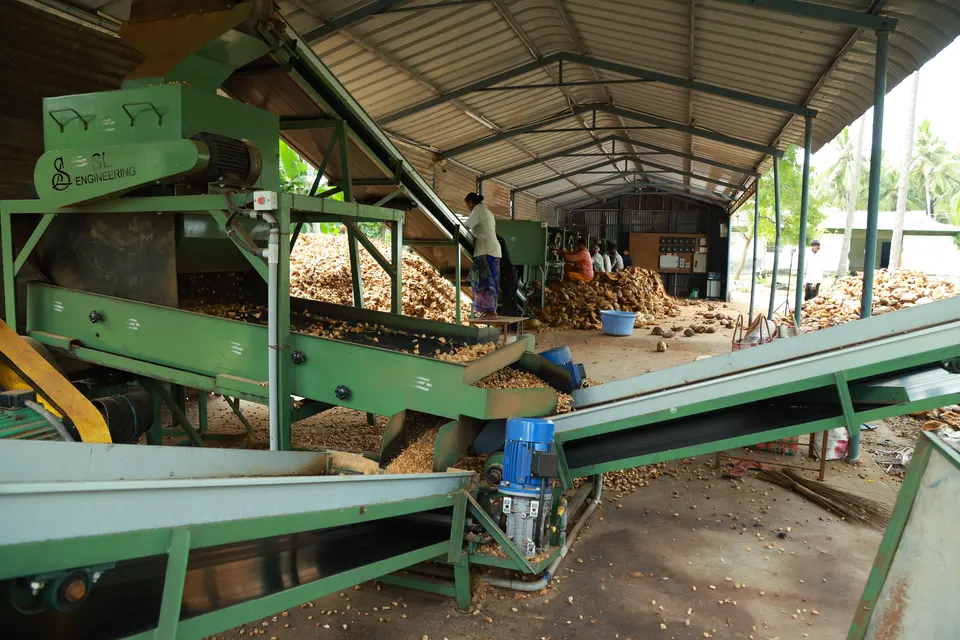 Husk chips cutting line