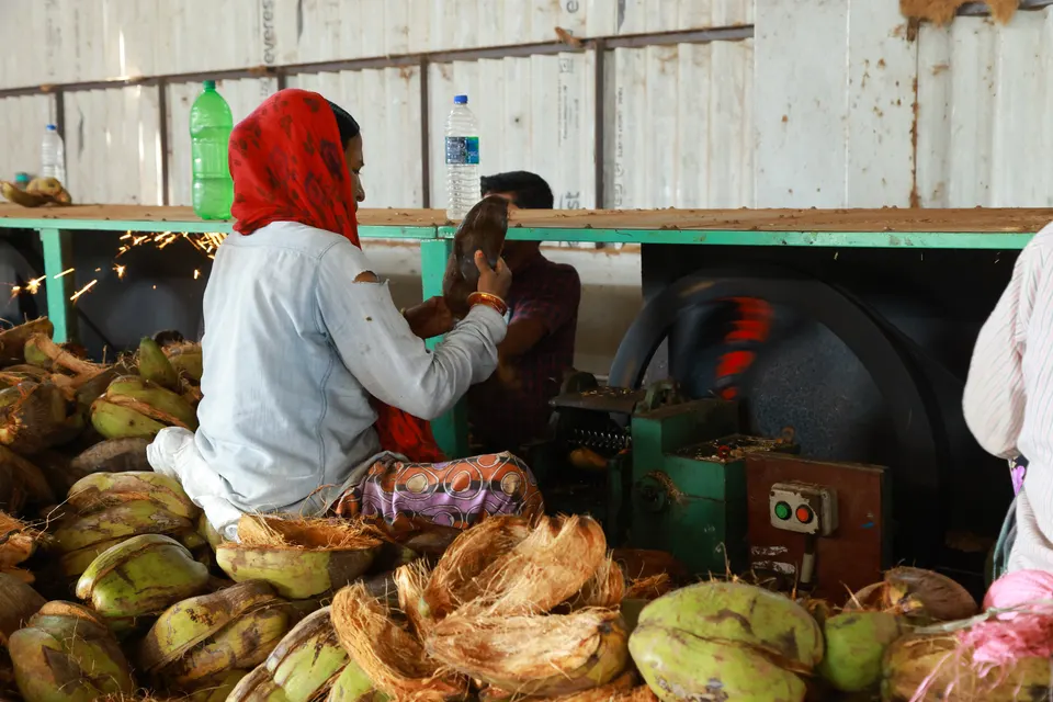 Husk from the coconut belt