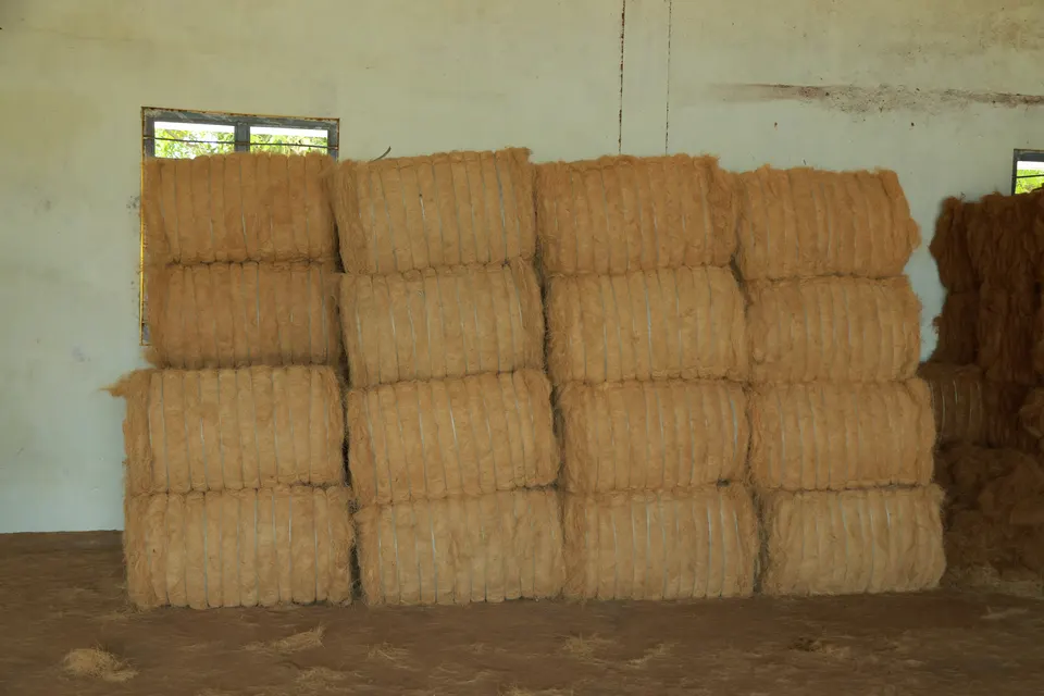 Coir fibre, white and brown