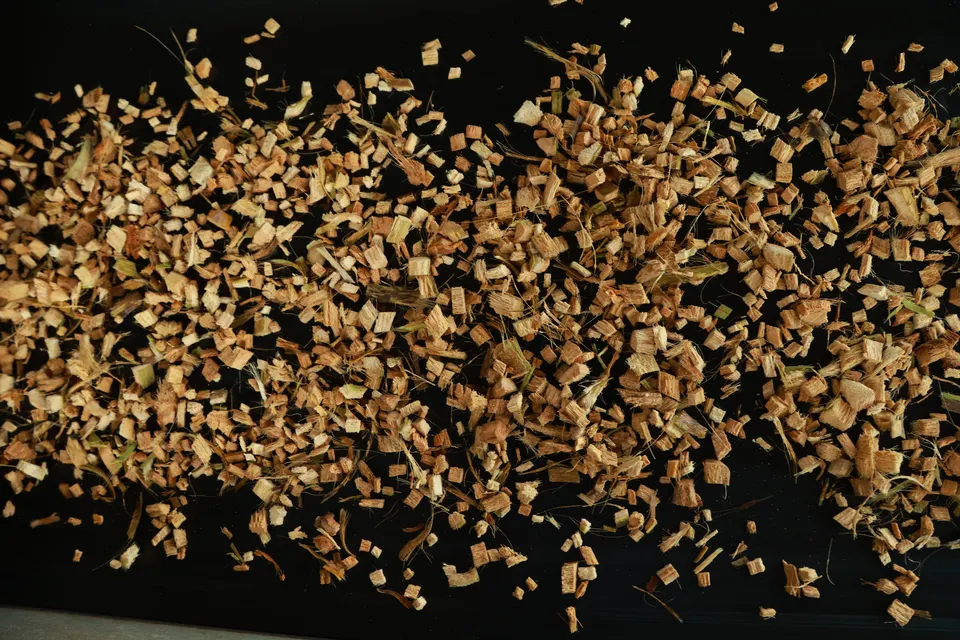 Coconut husk chips