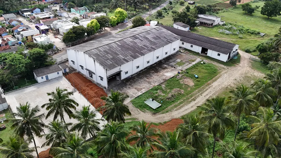 Factory in the coconut grove