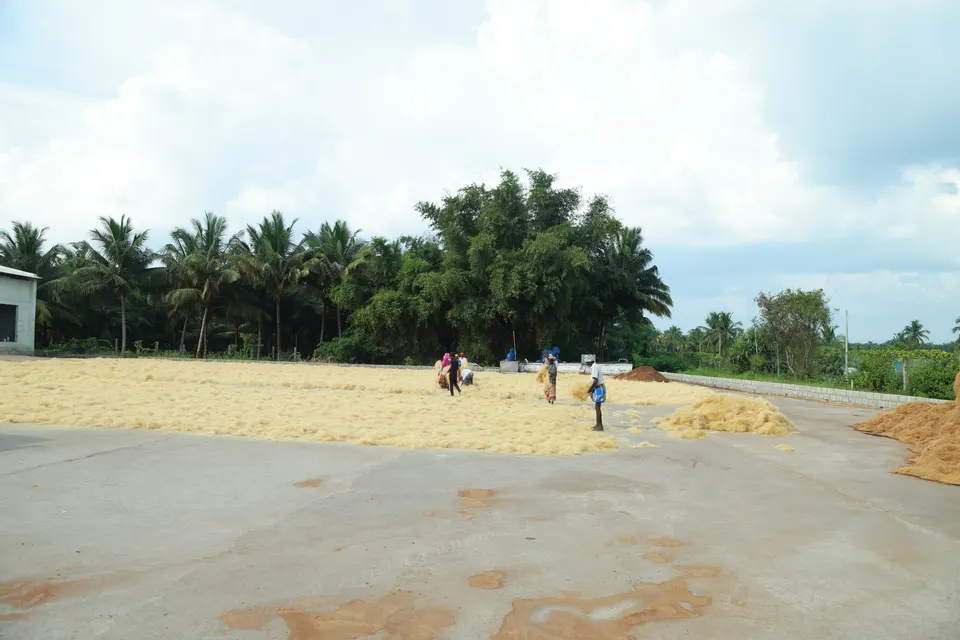 Sun-drying on concrete